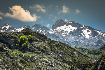 Fototapeta na wymiar Picos de Europa mountains, Cantabria (Spain)