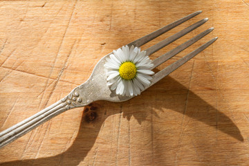 Spring daisy and cutlery on wooden boards abstract still life
