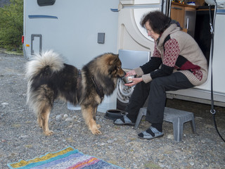 Mahlzeit/der Hund wird auf dem Hundenapf gef&uuml;ttert auf der Reise