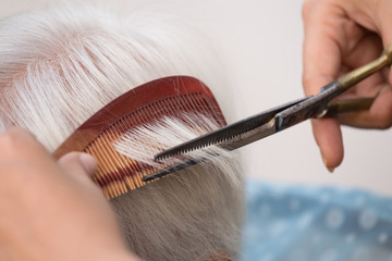 cutting senior woman's gray hair