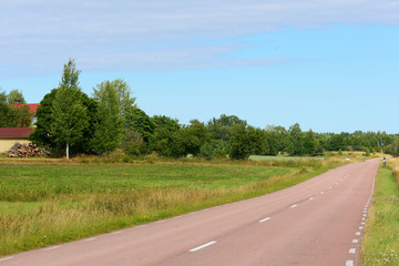 Rural landscape with country road between fields