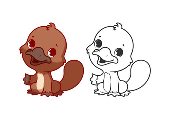 Cute little platypus.