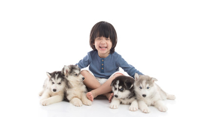 Cute asian boy sitting with siberian husky puppies