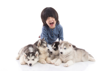 Obraz premium Cute asian boy lying with siberian husky puppies
