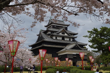 満開の桜と松江城