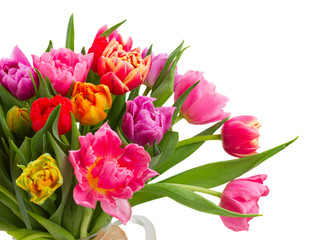 bouquet of  pink, purple and red  tulips