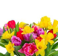 bouquet of   tulips and daffodils