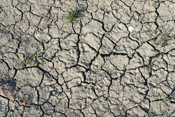 Cracks in dried soil as texture