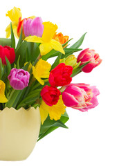 bouquet of   tulips and daffodils