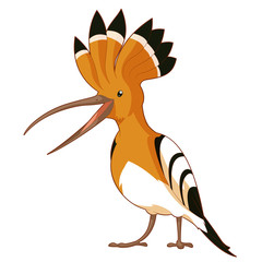 Cartoon  smiling Hoopoe © amplion