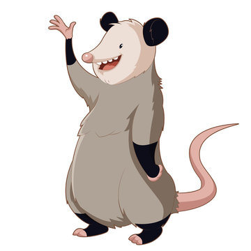 Cartoon smiling Opossum