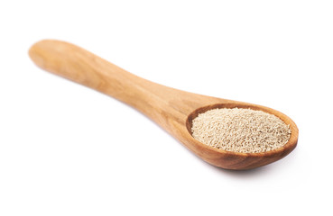 Wooden spoon filled with dry yeast