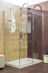 Modern shower with glass door