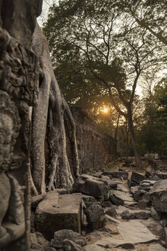 Rovine del tempio Ta Phrom , Angkor Wat, Cambogia . Sole al tramonto
