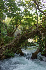 Fototapeta premium Duden waterfall in Antalya, Turkey. Waterfall surrounded by forest. Waterfall streem.