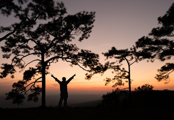 Silhouette of man sperading hand on pine tree with sunset view.