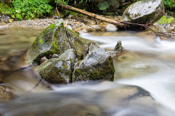 landscape with mountains trees and a river in front