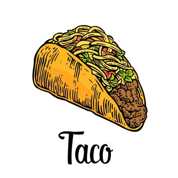 Tacos - mexican traditional food. Vector vintage engraved illustration for menu, poster, web. Isolated on white background.
