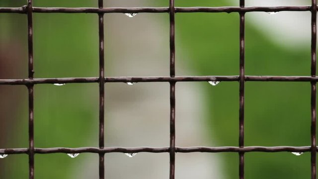 Raining Fence