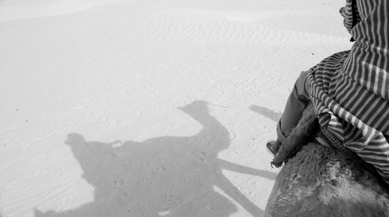 Karawana © michalsen