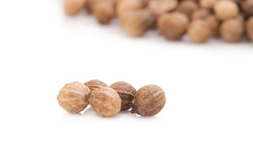 Coriander seeds on white background