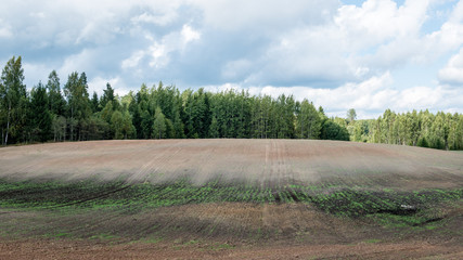 Fototapeta na wymiar fresh cultivated field in autumn