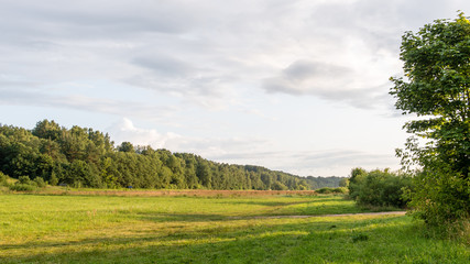 Green grass meadows and fields landscape in a sunny day