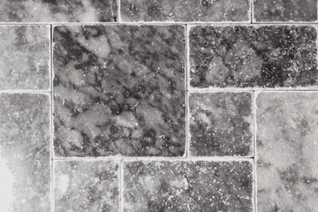 Fototapeta premium the texture of natural stone