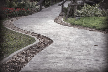 path through a garden
