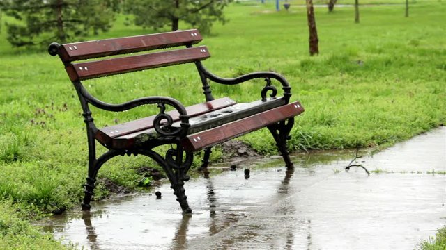 Raining Park Bench