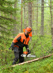 Lumberjack Worker measures length of log