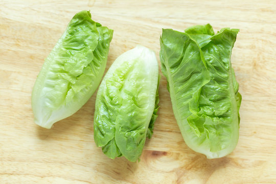 Cos Lettuce on wood background