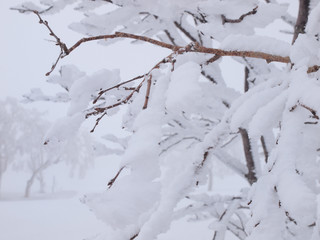 北海道　ニセコ　アンヌプリの樹氷