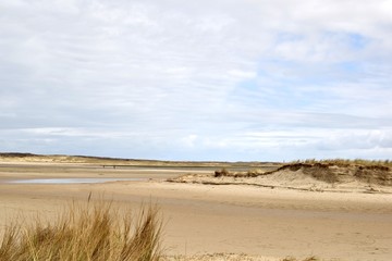 Dünen an Texels Strand