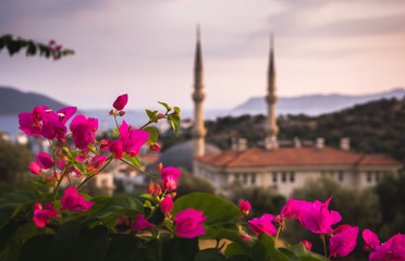 Mosque and Bougainvillia in Kas, Turkey
