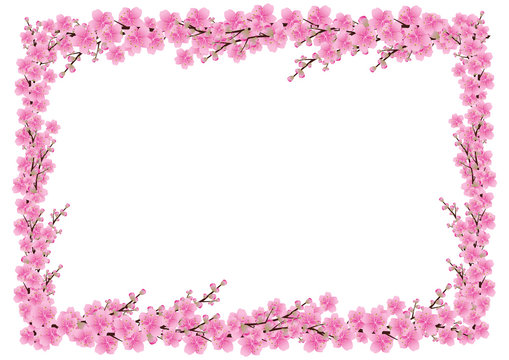 Cherry Blossom Corner Border Photos Royalty Free Images Graphics Vectors Videos Adobe Stock