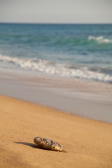 Los Canos de Meca  -  Trafalgar Beach