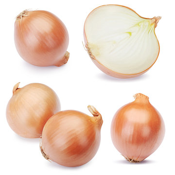Fresh onion bulbs set isolated on white background. Clipping Path 