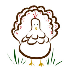 Illustration of a turkey