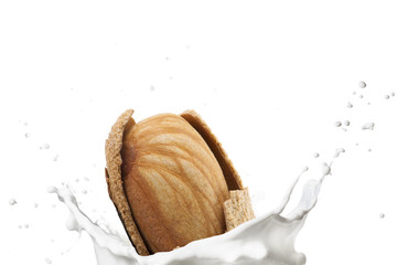 Kiwi With Milk Splash