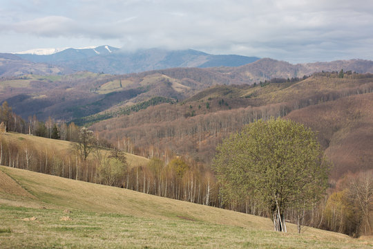 Spring landscape somewhere in the hills of Transylvania.