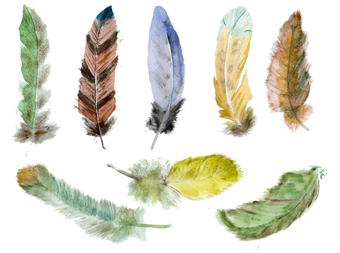Watercolor vector feathers 