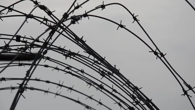 Fl&uuml;chtlinge am Stacheldrahtzaun