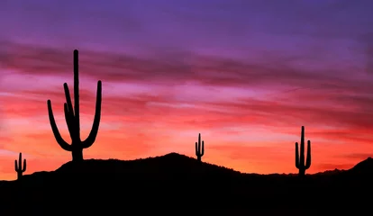  Colorful Sunset in Wild West Desert of Arizona with Cactus © dcorneli
