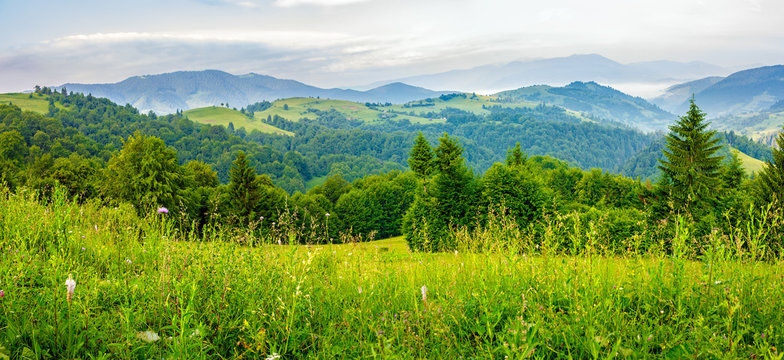 Mountain Landscape. Slope Of Mountain Range With Coniferous Forest