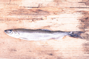 raw fish smelt. stylized vintage sepian image