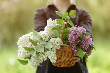 female teen girl hold basket full of lilac flowers, sunny day photo