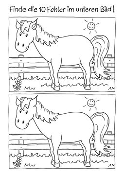 Fehlerbild Pferd