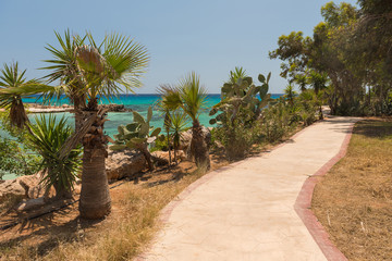 Beach at the Mediterranean sea