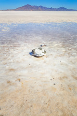 Obraz premium Bonneville Salt Flats